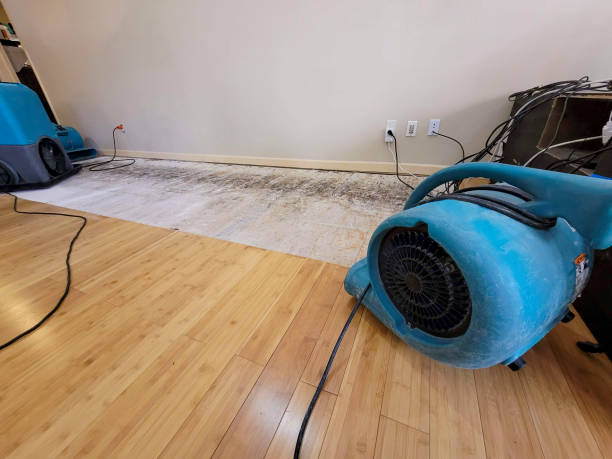 Professional Water Removal technician working in Rock Hill, SC